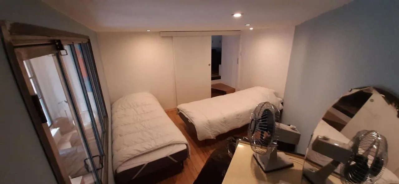 Duplex Industriel Au Coeur De Lyon Apartment 0*,  France